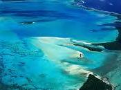 DIARIO D'AGOSTO Rapina atollo corallino