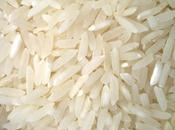 Ricette:Insalata riso