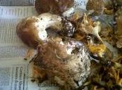 Rieccomi