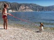 Vacanze da... cani!