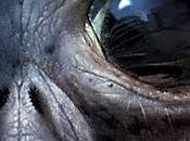 2031, primo contatto alieno