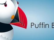 Puffin browser flash player integrato