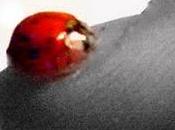 Guardate venuta trovare...