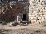 ARCHEOLOGIA SARDA :Nuraghe Palmavera ALGHERO