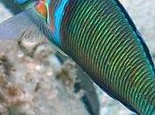 NATURA CREATIVA: Mare Nostrum