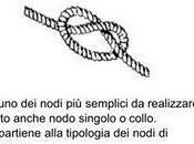 raccolta nodi l'app Nodi Gratis.