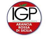 Arance rosse Sicilia