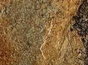 Pavimenti porcellanato smaltato ImolaCeramica