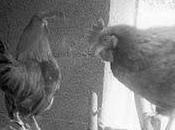 "Romolo Grande" Friedrich Dürrenmatt