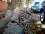 Passeggiare Roma, Lungotevere