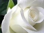 terra lieve,ragazzo.