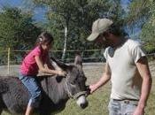 Buoni frutti…a metà guado!