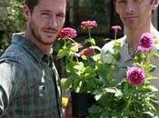 Vittorio Jonathan, "Giardinieri affitto"