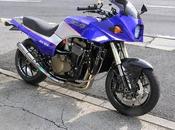 Kawasaki 1200 Auto Magic