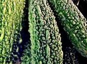 Zappatore Tokyo_ blog nuova collaborazione