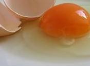 codice delle uova: ecco cosa c'e' sapere