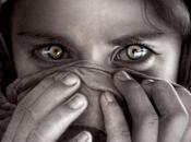 L'evoluzione dell'occhio