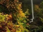 Stralci d'Ispirazione Cascata dell'Ascolto