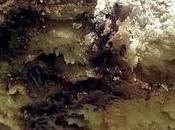 rotolo cioccolato