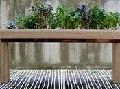 London Design Festival_The Growing Table