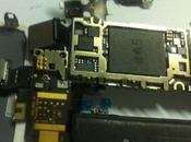 Prime presunte immagini componenti dell’iphone