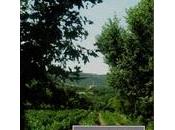 Primavera Borgogna Luca Terenzoni