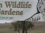 Adesso mando curriculum