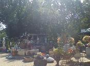 Willowpool Garden Centre