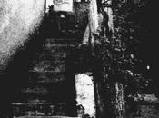 scala làmmia