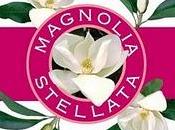 Preview Magnolia Stellata Helan