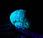 Millepiedi bioluminescente cieco confonde biologi