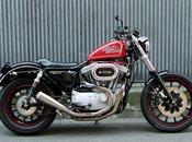 Harley 1200 2002 Tramp
