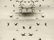 Rifles Tangled Love Video Testo Traduzione