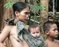 Malesia: deforestazione stupri contro indigeni Penan