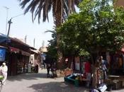 nostra Marrakech