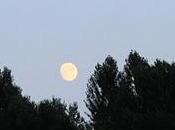 guarda luna...