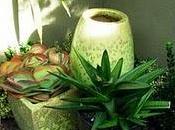 Vasi sempre simili oggetti design