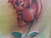 “Rosa tatuata”
