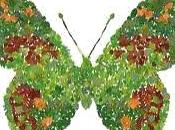 Raccolta video scuola media: Facciamo Scienze