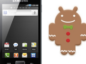 Disponibile Gingerbread Samsung Galaxy