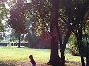 Attimi 'Autunno)
