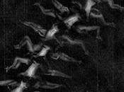 Human Centipede trailer