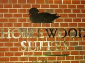 Homewood Suites Hilton Newark Wilmington South Area