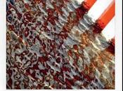 Daniel Buren cura David Palterer presentazione Quarrata