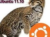 Ubuntu 11.10 pochi giorni