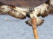 attimo fuggente: Gianfranco Mattu