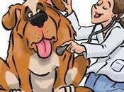 Test ammissione veterinaria