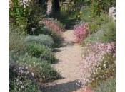 Come fare aiuola bordura stile inglese giardino