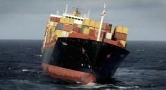 Catastrofe mare della Zelanda, petroliera 'Rena' uccide migliaia uccelli pesci