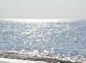 Fare prosa